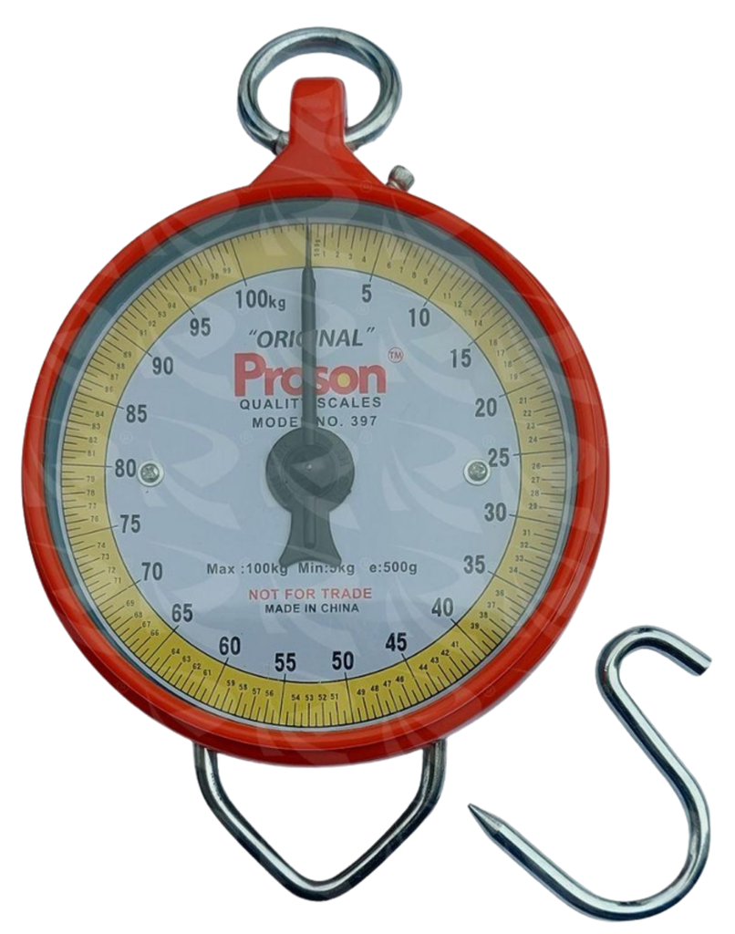 PROSON SCALE | Ragsons